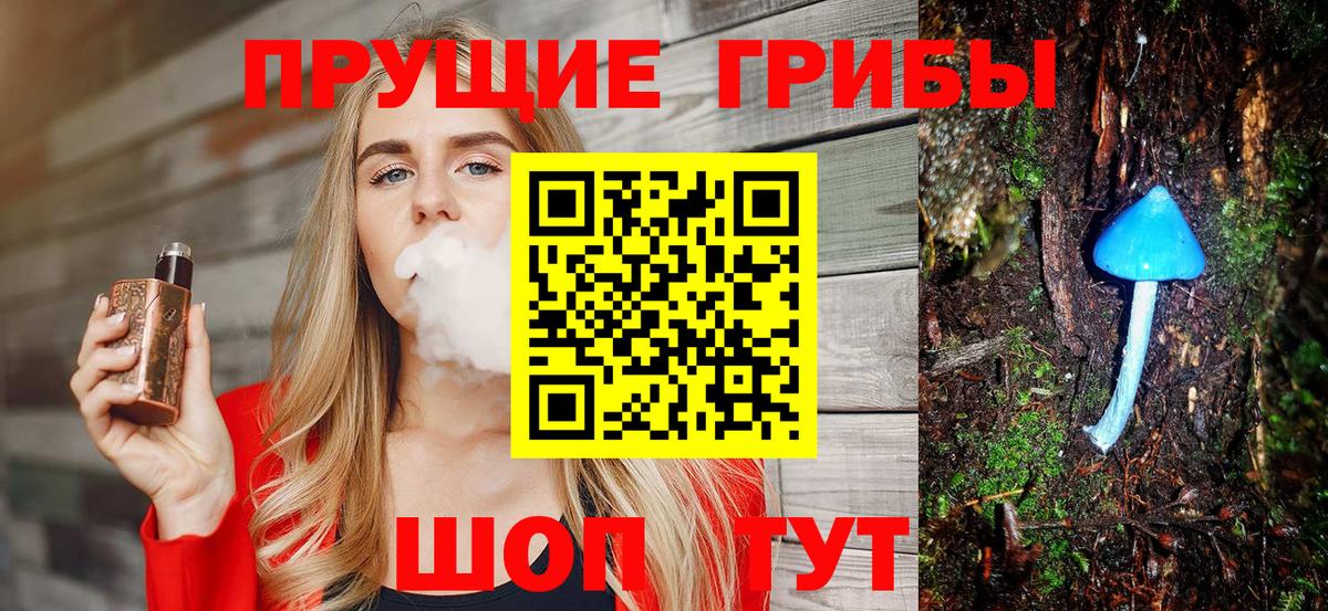 Орёл  даркнет сайт  Галлюциногенные грибы мухоморы  Вход с VPN  Галлюциногенные грибы Psilocybine cubensis 