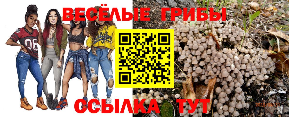 Галлюциногенные грибы ЛСД Орёл