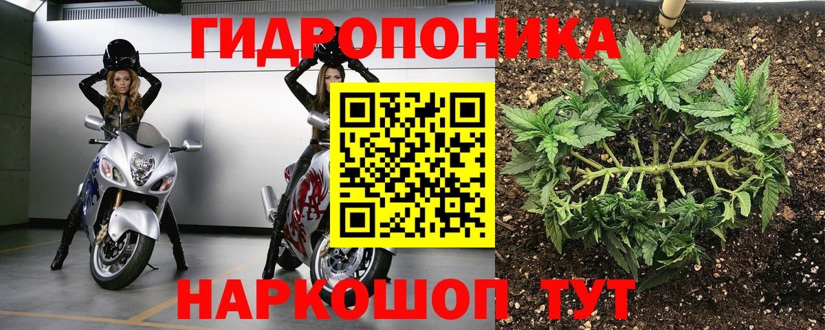 Бошки марихуана LSD WEED  Бошки марихуана Ganja  Вход с VPN  МАРИХУАНА Amnesia  Орёл 